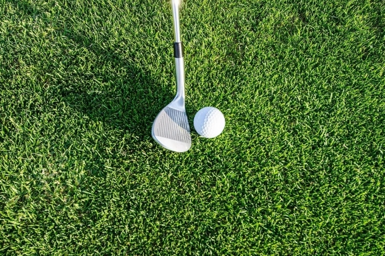 How to Bet on Golf: A Beginner's Guide