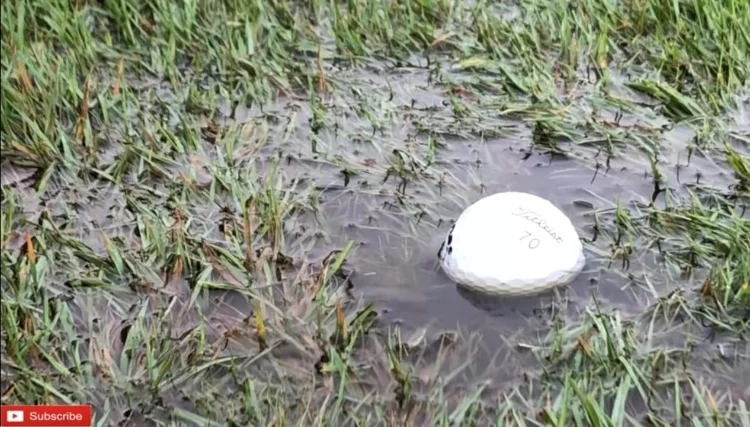 The Weather Conditions