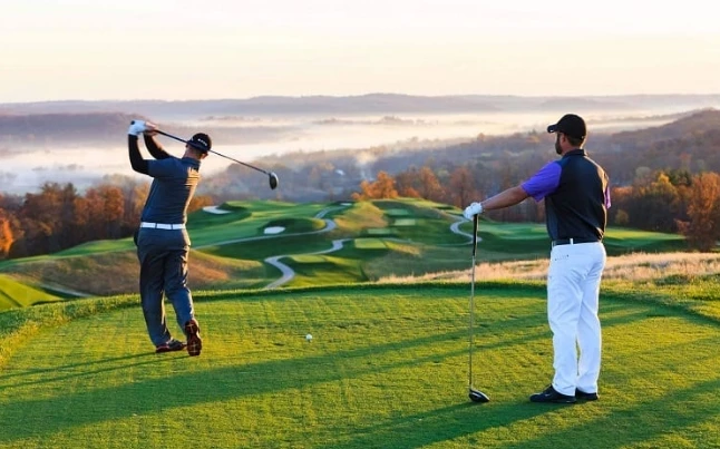 The Picking of the Right Partner