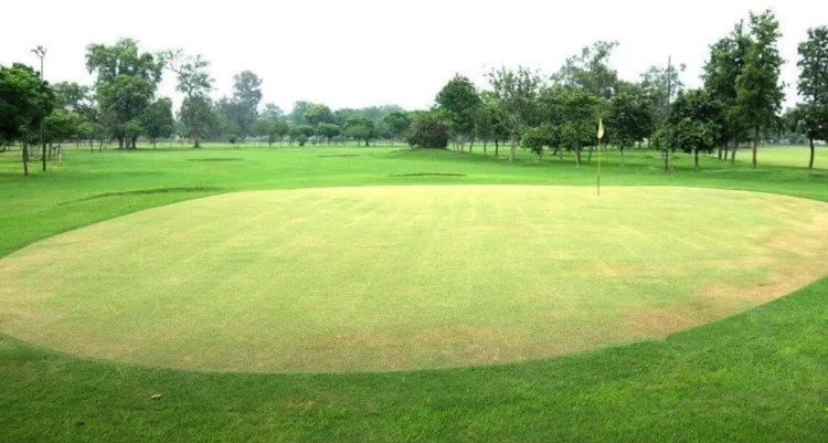 Why Do You Call It a Shotgun Start?